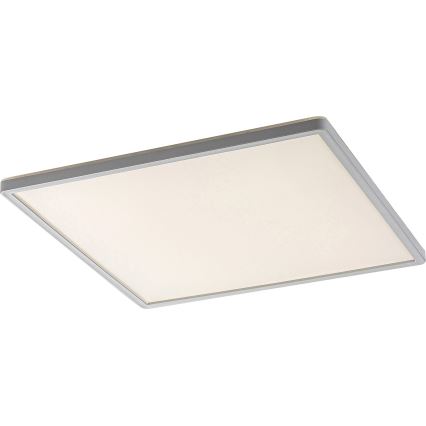 Rabalux - LED Zatemnitvena stropna svetilka LED/22W/230V