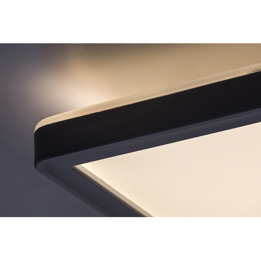 Rabalux - LED Zatemnitvena stropna svetilka LED/22W/230V