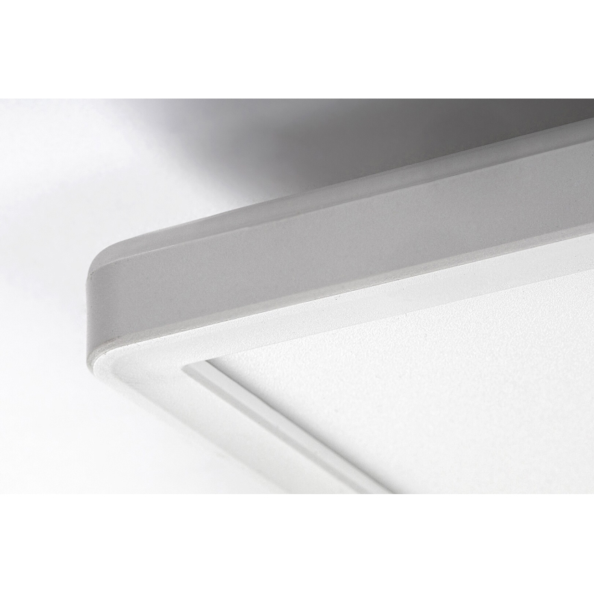 Rabalux - LED Zatemnitvena stropna svetilka LED/22W/230V