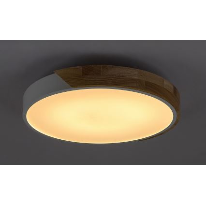 Rabalux - LED Stropna svetilka LED/24W/230V bela/hrast