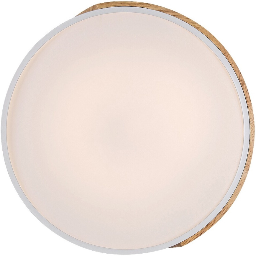 Rabalux - LED Stropna svetilka LED/24W/230V bela/hrast