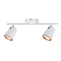 Rabalux 5046 - LED Reflektor SOLANGE 2xLED/6W/230V