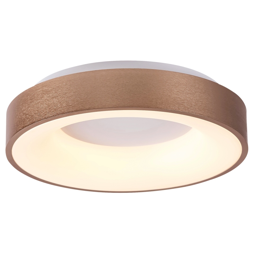 Rabalux 5052 - LED Stropna svetilka CARMELA LED/30W/230V