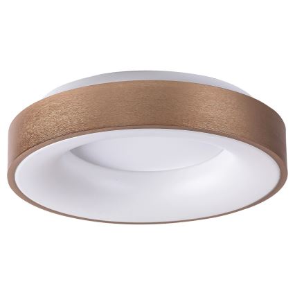 Rabalux 5052 - LED Stropna svetilka CARMELA LED/30W/230V