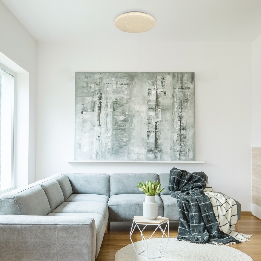 Rabalux - LED Stropna svetilka LED/32W/230V pr. 38 cm