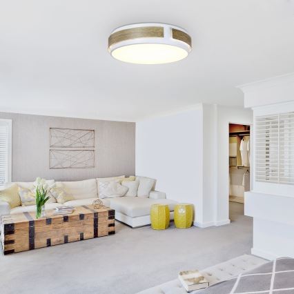 Rabalux - Zatemnljivo stropno LED svetilo LED/24W/230V, premer 42 cm