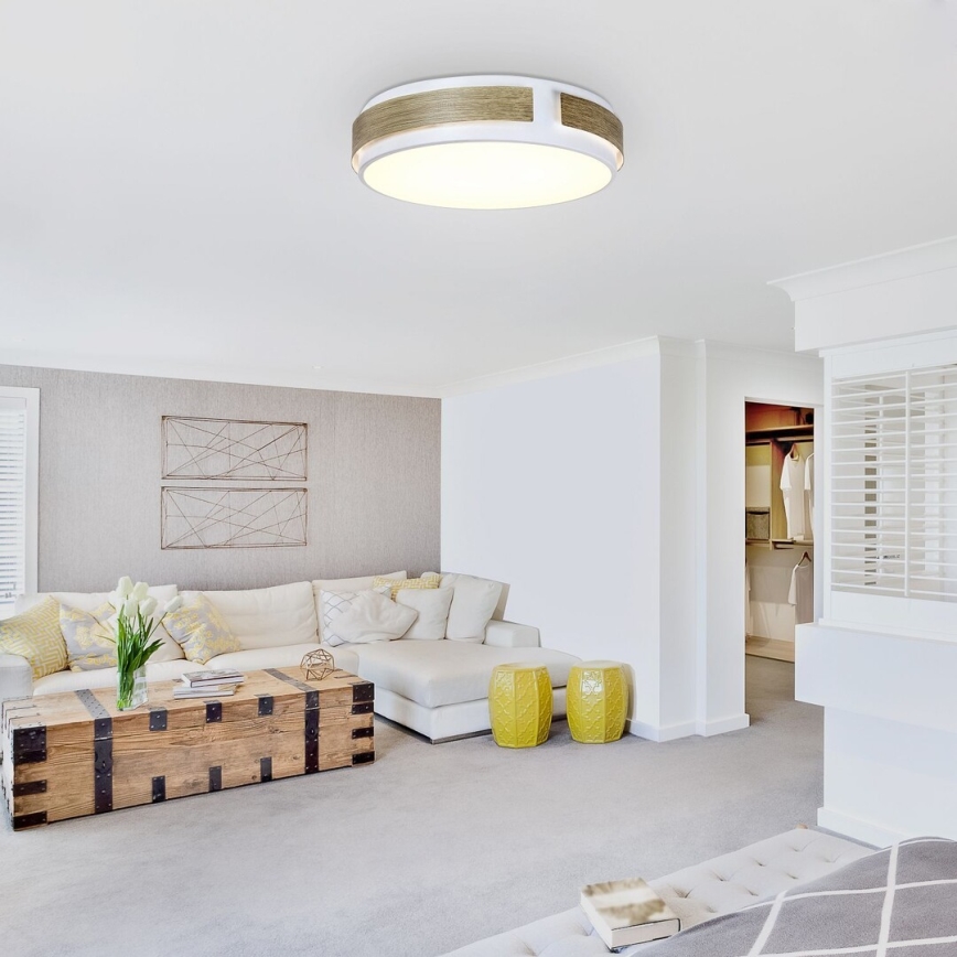 Rabalux - Zatemnljivo stropno LED svetilo LED/24W/230V, premer 42 cm