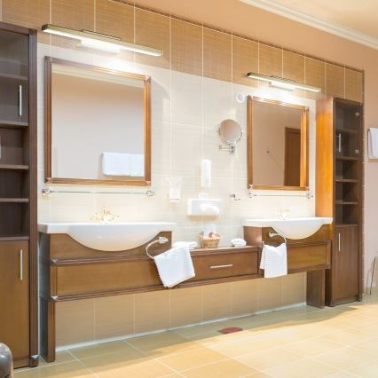 Rabalux - LED osvetlitev za kopalniško ogledalo LED/12W/230V IP44