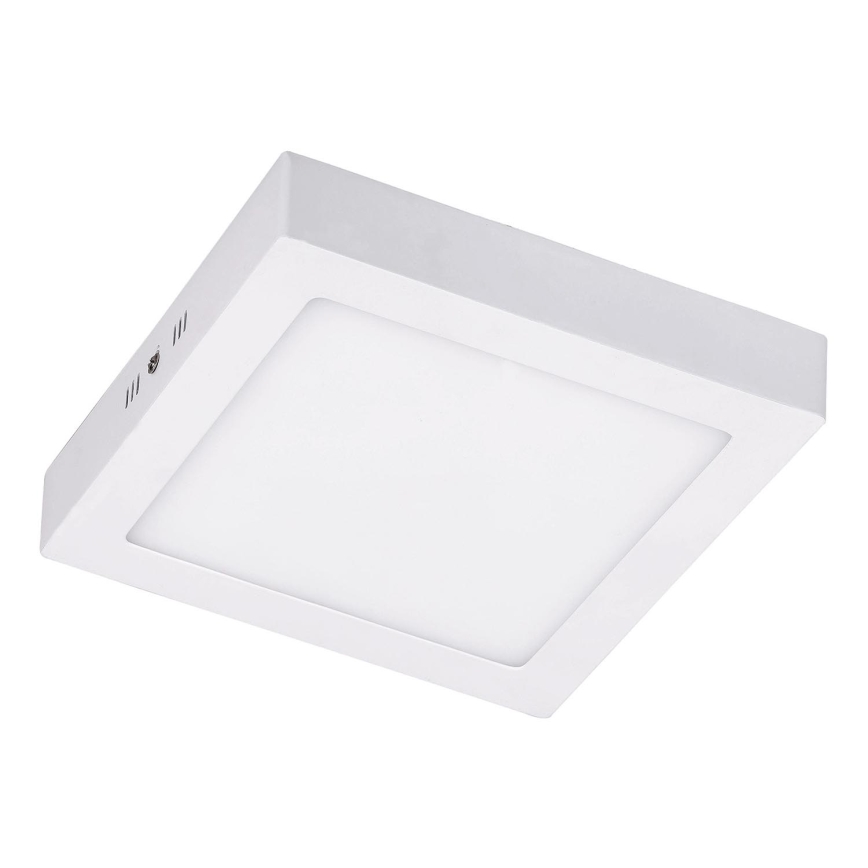 Rabalux 5883 - LED stropna svetilka JANE LED/18W/230V