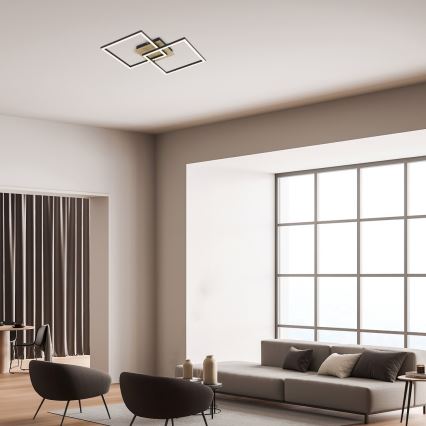 Rabalux - LED Stropna svetilka LED/24W/230V