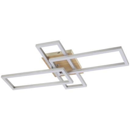Rabalux - LED Stropna svetilka LED/24W/230V