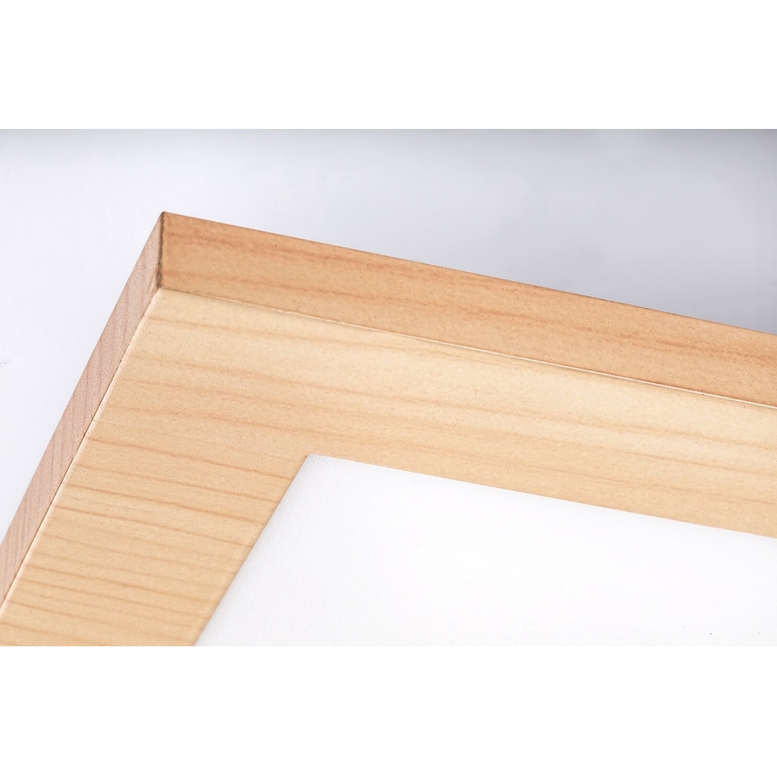 Rabalux - LED Vgradni panel LED/12W/230V 4000K