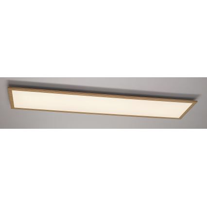 Rabalux - LED Vgradni panel LED/40W/230V 4000K