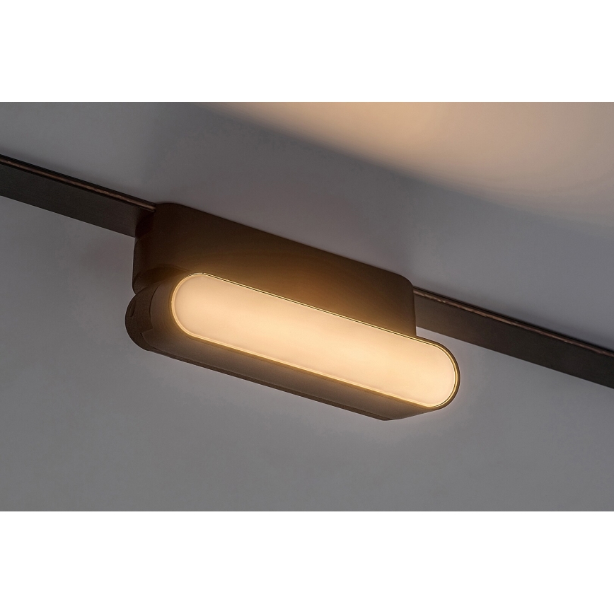 Rabalux - LED Stropna svetilka za 1-fazni tračni sistem LED/6W/230V 3000K 11,5 cm črna