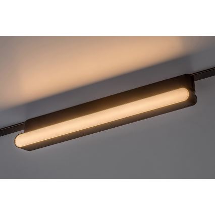 Rabalux - LED Stropna svetilka za 1-fazni tračni sistem LED/16W/230V 3000K 33 cm črna