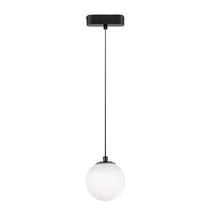 Rabalux - LED Lestenec na vrvici za 1-fazni tračni sistem LED/5W/230V 4000K črna