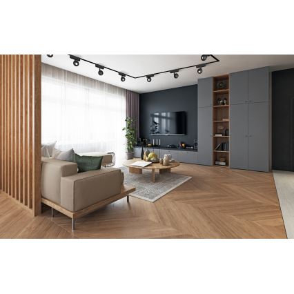 Rabalux - LED Zatemnitveni reflektor za 1-fazni tračni sistem LED/5W/24V 2700-5500K Wi-Fi Tuya črna