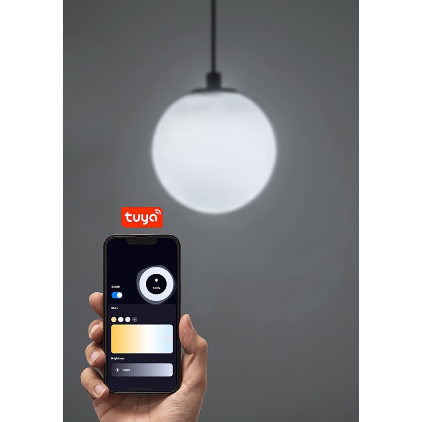 Rabalux - LED Zatemnitveni lestenec na vrvici za 1-fazni tračni sistem LED/5W/24V 2700-5500K Wi-Fi Tuya črna