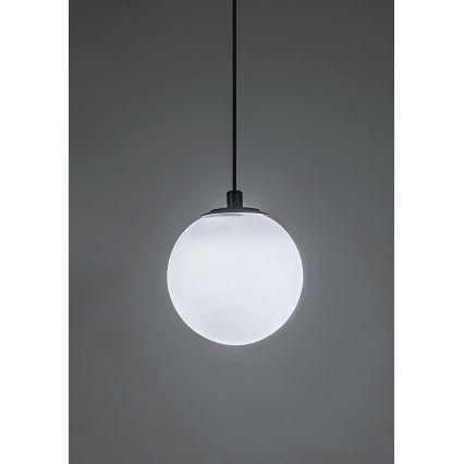 Rabalux - LED Zatemnitveni lestenec na vrvici za 1-fazni tračni sistem LED/5W/24V 2700-5500K Wi-Fi Tuya črna