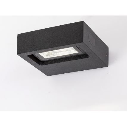 Rabalux - LED Zunanja stenska luč LED/7W/230V IP65