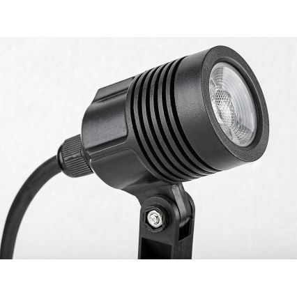 Rabalux - LED Zunanja svetilka LED/3W/230V IP65