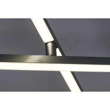 Rabalux - LED Stropna svetilka LED/40W/230V 4000K