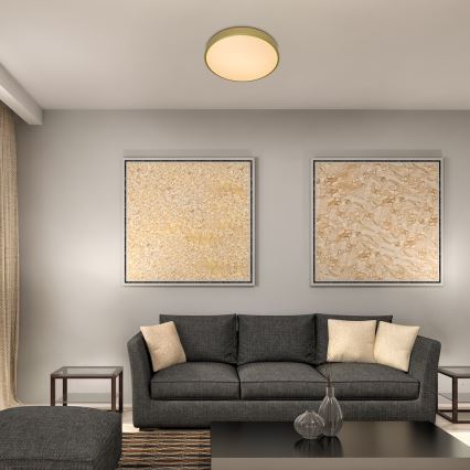 Rabalux - LED stropna svetilka LED/36W/230V 3000K premer 40 cm