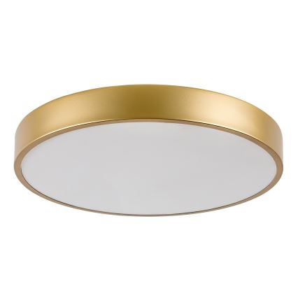 Rabalux - LED stropna svetilka LED/36W/230V 3000K premer 40 cm