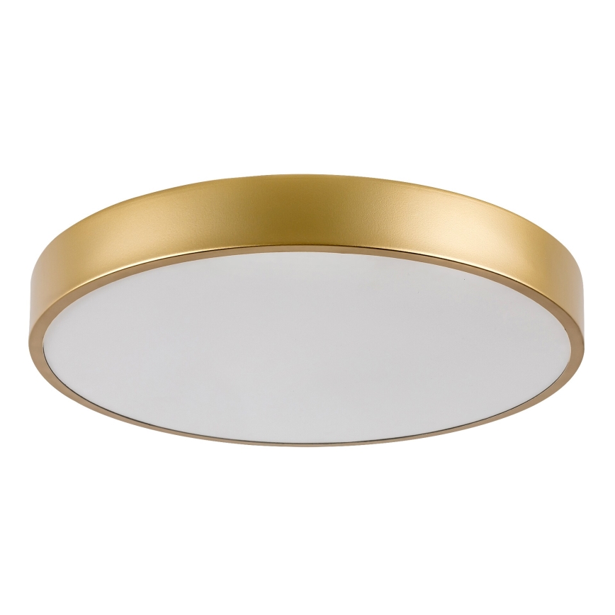 Rabalux - LED stropna svetilka LED/36W/230V 3000K premer 40 cm