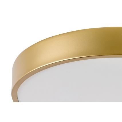 Rabalux - LED stropna svetilka LED/36W/230V 3000K premer 40 cm