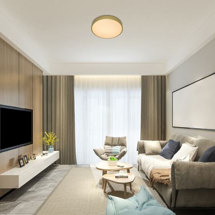 Rabalux - LED zatemnljivo stropno svetilo LED/60W/230V 3000-6000K + z daljinskim upravljalnikom premer 60 cm