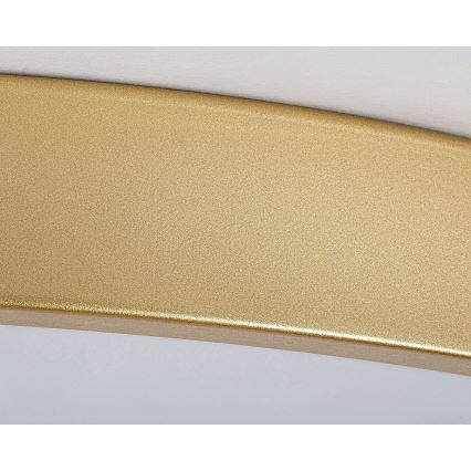 Rabalux - LED zatemnljivo stropno svetilo LED/60W/230V 3000-6000K + z daljinskim upravljalnikom premer 60 cm