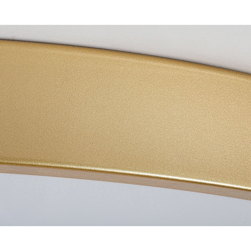 Rabalux - LED zatemnljivo stropno svetilo LED/60W/230V 3000-6000K + z daljinskim upravljalnikom premer 60 cm