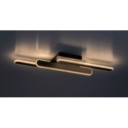 Rabalux - LED Stropna svetilka LED/18W/230V 3000/4000K