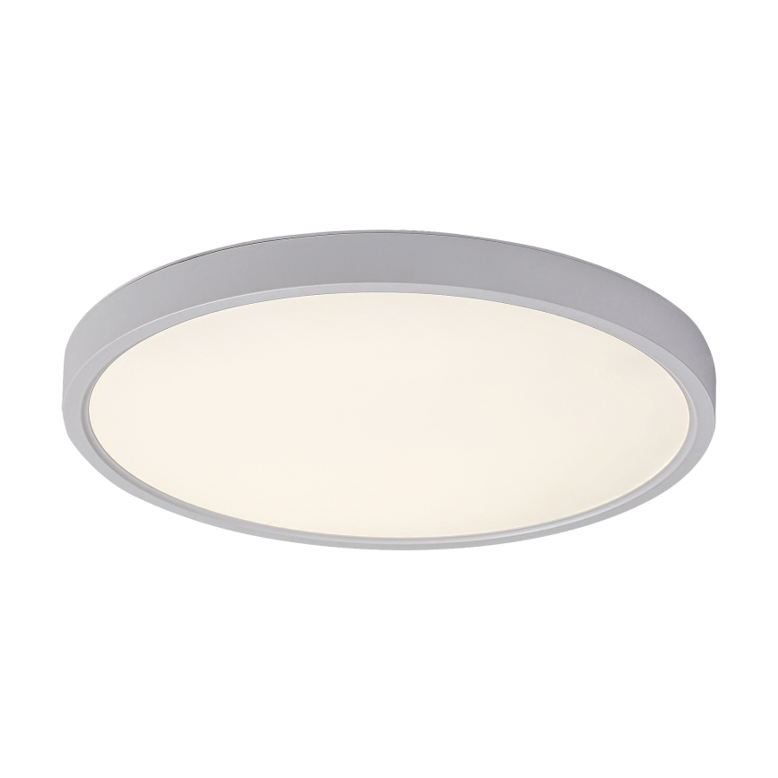 Rabalux - LED Stropna svetilka LED/24W/230V 4000K pr. 30 cm bela