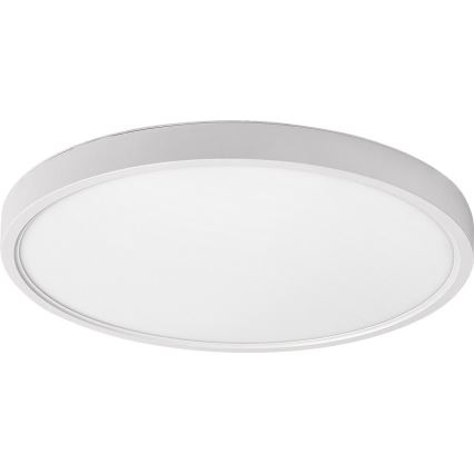 Rabalux - LED Stropna svetilka LED/24W/230V 4000K pr. 30 cm bela