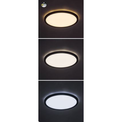 Rabalux - LED Stropna svetilka LED/24W/230V 3000/4000/6000K pr. 29 cm črna