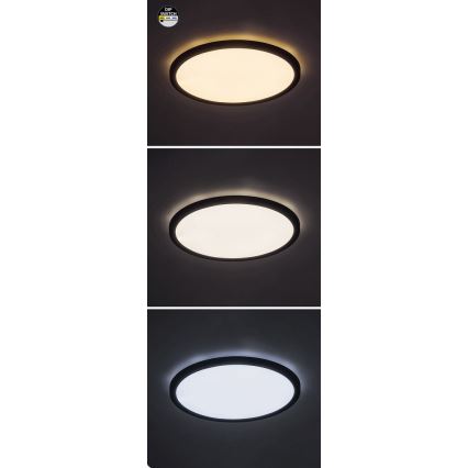 Rabalux - LED Stropna svetilka LED/36W/230V 3000/4000/6000K pr. 40 cm črna