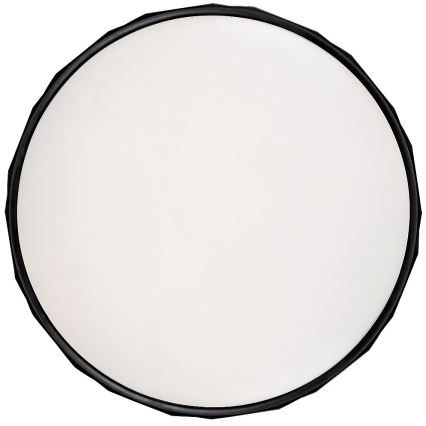 Rabalux - LED Stropna svetilka LED/25W/230V 4000K pr. 39 cm črna