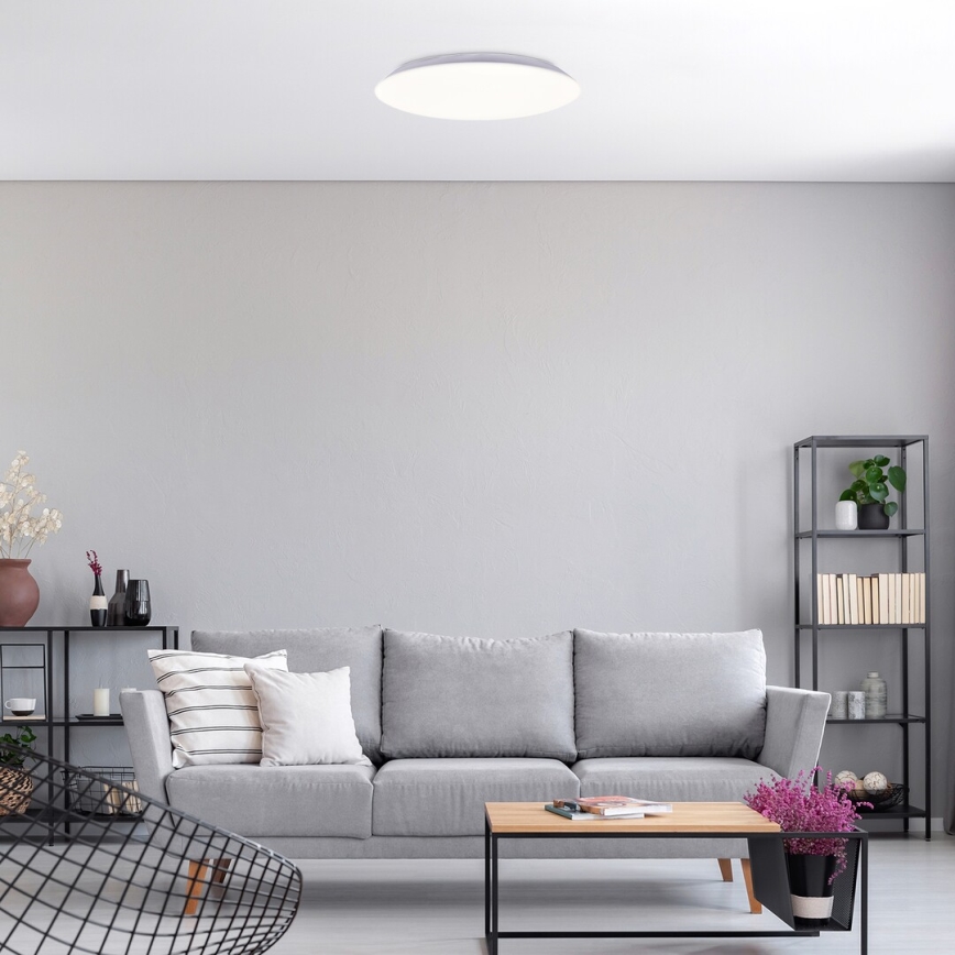 Rabalux - LED Stropna svetilka LED/24W/230V 4000K 38 cm