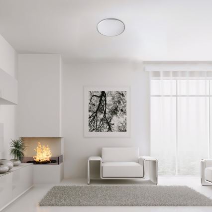 Rabalux - LED Stropna svetilka LED/45W/230V 4000K srebrna 48 cm
