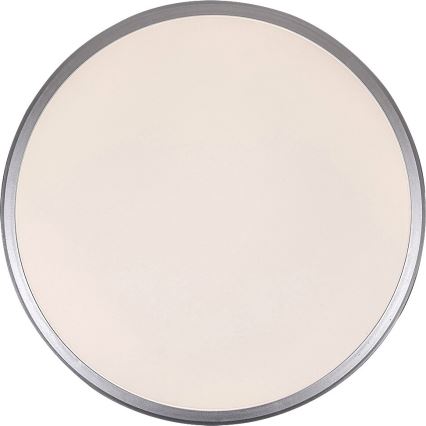 Rabalux - LED Stropna svetilka LED/45W/230V 4000K srebrna 48 cm