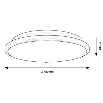 Rabalux - LED Stropna svetilka LED/45W/230V 4000K srebrna 48 cm