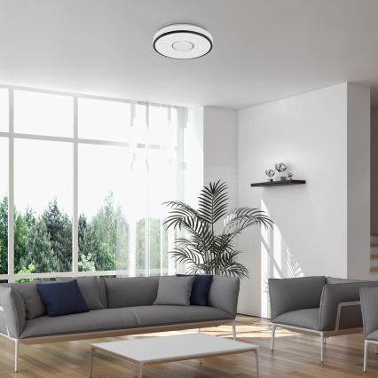 Rabalux - LED Stropna svetilka LED/24W/230V 4000K pr. 39 cm
