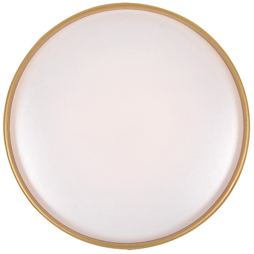 Rabalux - LED Zatemnitvena stropna svetilka LED/24W/230V 3000-6500K + Daljinski upravljalnik