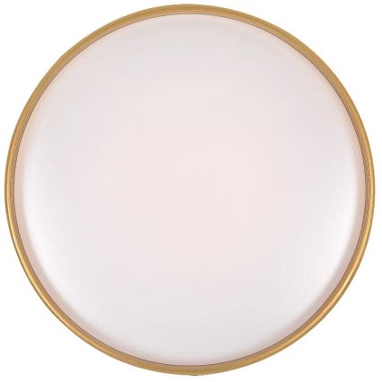 Rabalux - zatemnjevalna LED stropna svetilka LED/24W/230V 3000–6500K Ø 39 cm + daljinski upravljalnik