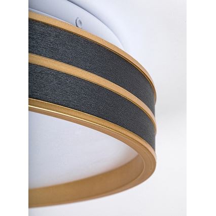 Rabalux - zatemnjevalna LED stropna svetilka LED/24W/230V 3000–6500K Ø 39 cm + daljinski upravljalnik