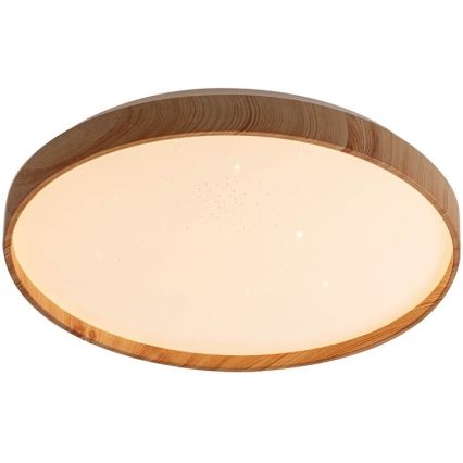 Rabalux - LED Stropna svetilka LED/24W/230V 3000K pr. 38 cm