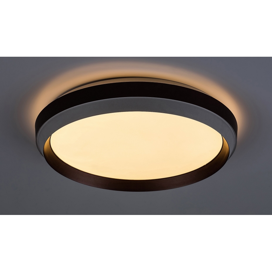 Rabalux - LED Stropna svetilka LED/24W/230V 3000K