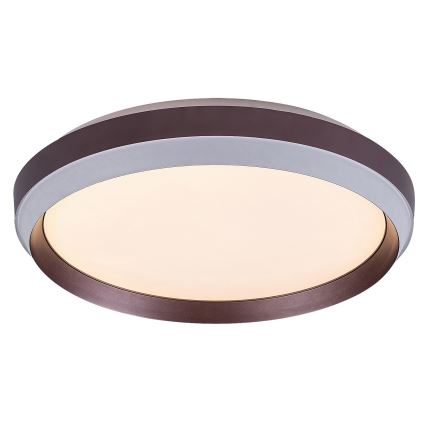 Rabalux - LED Stropna svetilka LED/24W/230V 3000K